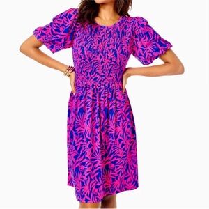 Lilly Pulitzer Chrystelle Dress sz large